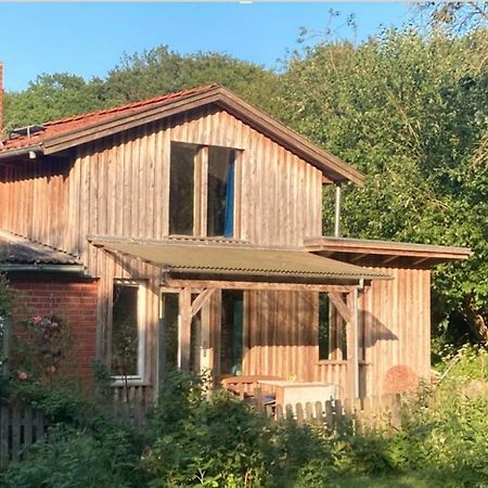 Natur Kunst Ferienhaus Neu Darchau Екстериор снимка
